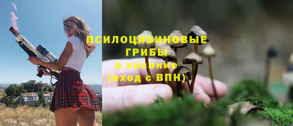 стаф Верхний Тагил