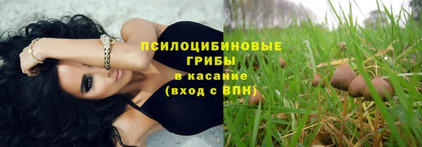 стаф Верхний Тагил