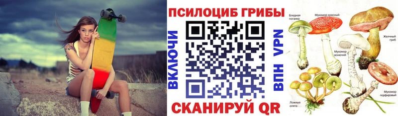 Галлюциногенные грибы Cubensis Горбатов
